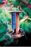 Building Bird Feeders Images Building Bird Feeders Images
