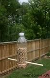 Pictures of Building Bird Feeders Pictures of Building Bird Feeders