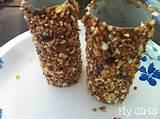 Bird Feeders For Children Photos Bird Feeders For Children Photos