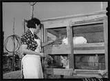 Building Bird Feeders Building Bird Feeders