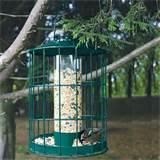 Images of Large Bird Feeder