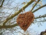 Bird Feeders For Kids