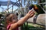 Feeding A Baby Bird