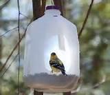 How To Build A Bird Feeder Pictures How To Build A Bird Feeder Pictures