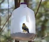 How To Build A Bird Feeder Pictures