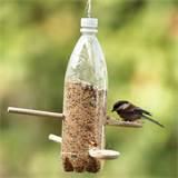 Images of How To Make A Bird Feeder