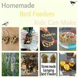 Pictures of Bird Feeders For Kids