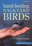 Hand Feeding Birds Photos Hand Feeding Birds Photos