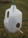 How To Make A Bird Feeder Pictures How To Make A Bird Feeder Pictures