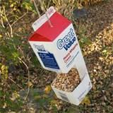 Images of Bird Feeder Crafts For Kids Images of Bird Feeder Crafts For Kids
