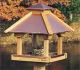 Images of How To Build A Bird Feeder Images of How To Build A Bird Feeder
