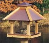 Images of How To Build A Bird Feeder