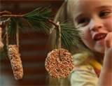 Bird Feeders For Kids