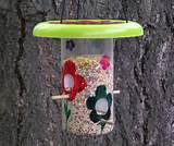 Images of How To Make A Bird Feeder Images of How To Make A Bird Feeder