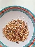 Images of Bird Feeder Crafts For Kids Images of Bird Feeder Crafts For Kids