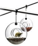 Bird Feeders For Kids Pictures Bird Feeders For Kids Pictures