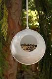 Bird Feeders For Kids Pictures
