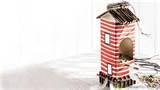 Photos of Bird Feeder Crafts For Kids Photos of Bird Feeder Crafts For Kids
