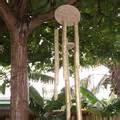 Bird Feeders For Kids Images Bird Feeders For Kids Images
