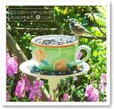 How To Make A Bird Feeder Images