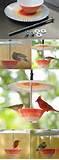 Make A Bird Feeder Pictures Make A Bird Feeder Pictures