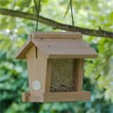 Make A Bird Feeder Photos