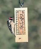 Peanut Butter Bird Feeder