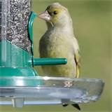 Rspb Bird Feeders Images