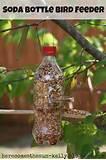 Images of Make A Bird Feeder Images of Make A Bird Feeder