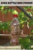 Images of Make A Bird Feeder