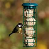 Images of Rspb Bird Feeders