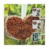 Make A Bird Feeder Photos Make A Bird Feeder Photos