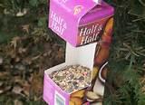 Pictures of Make A Bird Feeder Pictures of Make A Bird Feeder