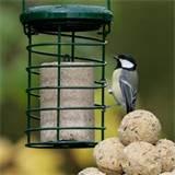 Rspb Bird Feeders Photos