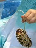 Make A Bird Feeder