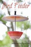 Make A Bird Feeder Photos