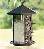 The Bird Feeder Photos