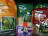 Bird Feed Photos Bird Feed Photos