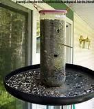 Homemade Bird Feeder Photos