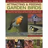 Feeding Garden Birds Images