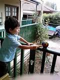 Feeding Wild Birds Photos Feeding Wild Birds Photos