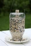 The Bird Feeder The Bird Feeder
