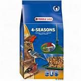 Bird Feed Images Bird Feed Images