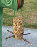 Photos of Homemade Bird Feeder