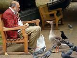 Photos of Feeding Bird