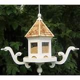 Images of The Bird Feeder