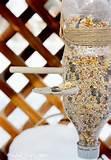 Homemade Bird Feeder Photos