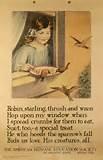 Feed The Birds Feed The Birds