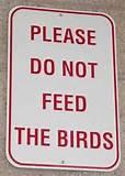 Pictures of How To Feed Birds