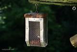 Pictures of The Bird Feeder